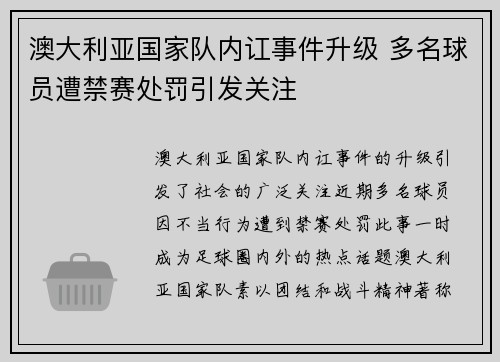 澳大利亚国家队内讧事件升级 多名球员遭禁赛处罚引发关注